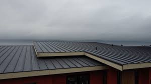 Best Metal Roofing Installation  in Franklin, NC